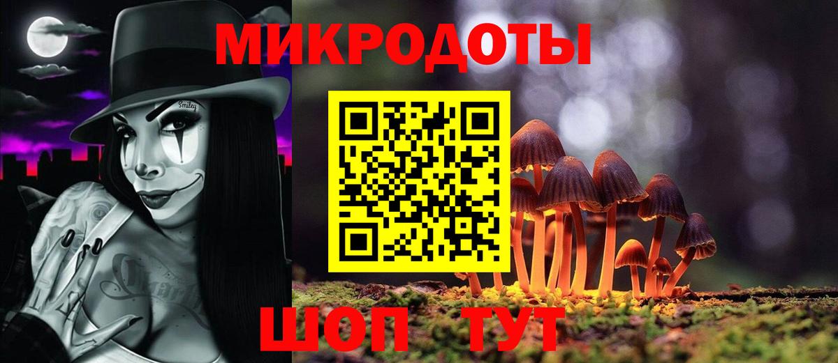 Псилоцибиновые грибы Psilocybine cubensis Вязьма